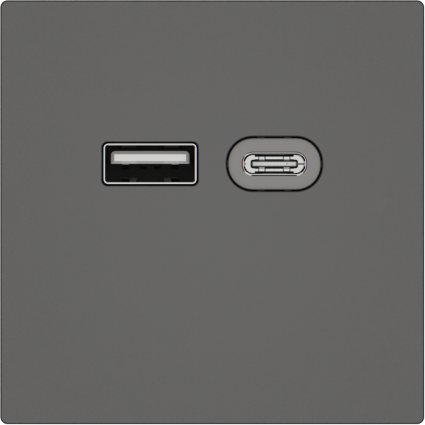 USB-Ladesteckdose EDIZIO.liv SNAPFIX® 230VAC 18W 1×USB Typ A 1×USB Typ C dgu 