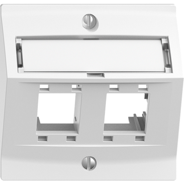 Kit de montage EDIZIOdue, avec capot de sortie oblique, pour 2×RJ45, blanc 
