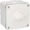 Interrupteur à gradation AP NEVO, 20A, 2P, 87×87mm, 2×60°, 1-2-3, blanc 