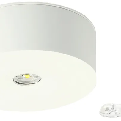 Lampada d'emergenza LED AP AWIL-DL-421-AT Ø100mm 3.7W 230VAC 1h 240lm 