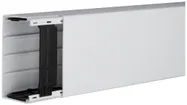 Canal d'installation tehalit LF 110×60×2000mm (l×h×L) PVC gris clair 