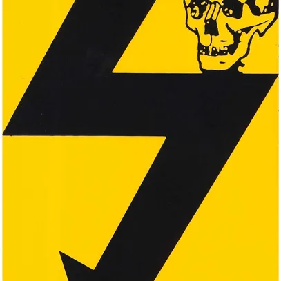 Plaque d'avertissement Al 118×170mm jaune-noir 
