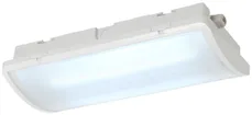 Luminaire de secours LED P-LIGHT, 6.5W 100lm 6000K IP65 blanc 