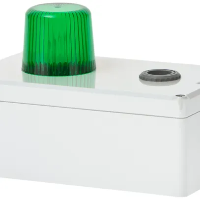 Lampada flash Hugentobler tipo 100 con sirena 12VAC verde 