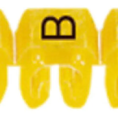 Anello-riferimento Legrand CAB 3, per 0.5…1.5mm² stampa: 'B', giallo 