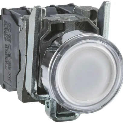 Pulsante luminoso Schneider Electric 1R+1Ch 24V bianco 