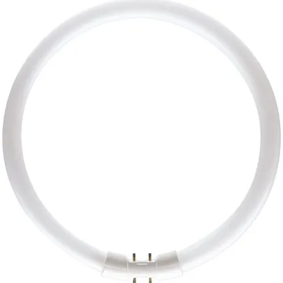 Lampada fluorescente MASTER Circular TL5 22W 840 