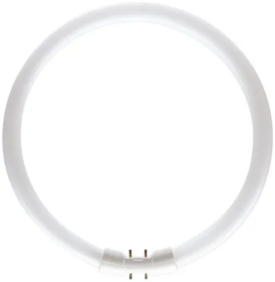 Fluoreszenzlampe MASTER Circular TL5 22W 840 
