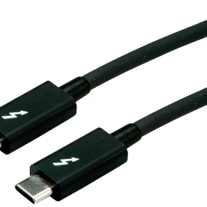 Câble USB ROLINE USB-C/USB-C (Thunderbolt 3/USB 3.1) 20Gbit/s 100W noir 1m 