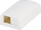 Boîte de raccordement AP Panduit pour 2 modules Mini-Com, blanc 
