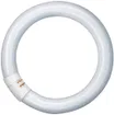 Tube fluorescent Circline Osram L 32W/840 C cool white 