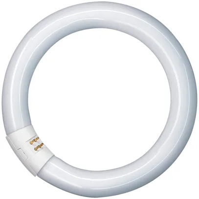 Tube fluorescent Circline Osram L 32W/840 C cool white 