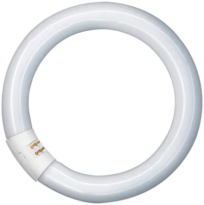 Fluoreszenzröhre L 40W/840 C Osram Circline cool white 