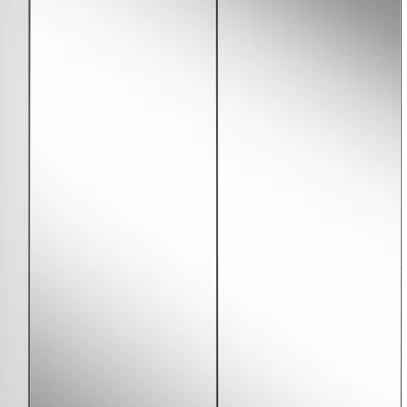 Armoire à miroir Schneider LOWLINE Basic 60/2/LED blanc 3000K 