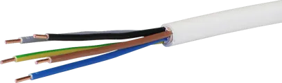 Câble TT 5×2,5mm² 3LNPE bc Eca Rouleau à 100m