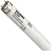 Fluoreszenzlampe F T8 G13 36W 24" BL368, Splitterschutz 