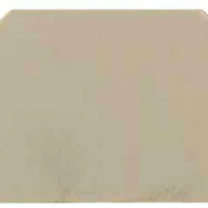 Piastra terminale Weidmüller WAP 2.5-10 56×1.5mm beige 