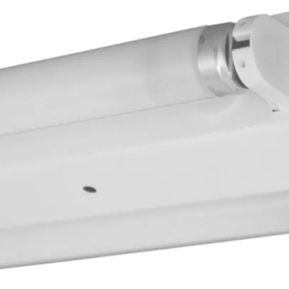 Lampada LED T8 LED Zincor 2×laterale, bianco, senza tubo 