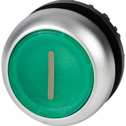 Leucht-Drucktaste ETN RMQ flach grün I, tastend, Ring verchromt 